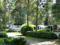 De Heldense Bossen