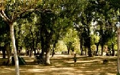 Camping Isabena